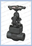 Forged Steel Gate/Globe/Ball/Check Valve