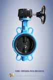 Pn16 Worm Gear Butterfly Valve