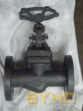 API 602 Flanged End Forged Steel Globe Valve