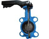 Centre Lined Wafer Butterfly Valve Manufacturer