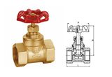 Metal Seal Brass Globe Valve with High Quality