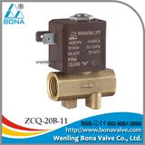 Leakage Detect Machine Brass Solenoid Valve (ZCQ-20B-11)