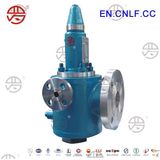 Lfnj-Safety Valve with Jacket