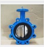 Cast Iron Valve 2