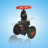 Cast Iron Flange Globe Valve (J41T)