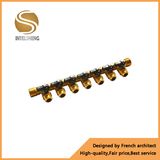 Brass Manifold (TFM-070-07)