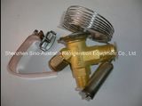 Danfoss Thermostatic Expansion Valves (TS2S 068Z3414)