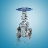 Cast Steel Gate Valve