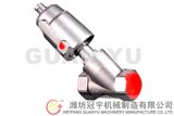 Pneumatic Angle Seat Valve Thread Type