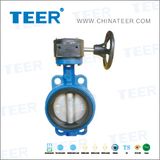 Butterfly Valve (D343H -150LB)