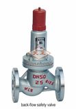 Back-Flow Safety Valve (19)