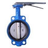 Butterfly Valve