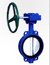 Butterfly Valve (105)