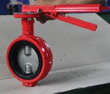 Demco Double Shaft Butterfly Valve (D71X-10/16)