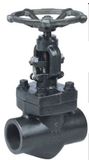 Forged Steel Globe Valve (TYJ61H)