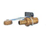 Brass Beer Valve