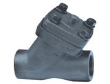 Forged Steel Threaded or Sw Y Type Check Valves