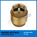 Brass Spring Check Valve with Plastic Core