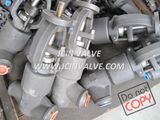 Forged Steel High Pressure Globe Valve (J61Y)