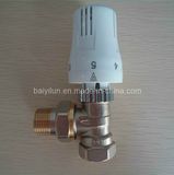 Dn20 Thermostatic Radiator Valve (BYL-6617)