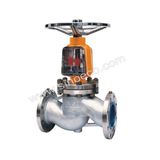 Stainless Steel Oxygen Globe Valve