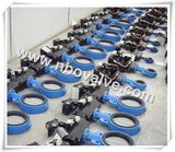 DIN Bw Butterfly Valves Pn16-Pn64