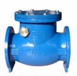 Domestic Water Systems Used Non Return Valve