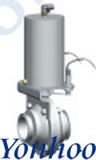 Stainless Steel Pneumatic Butterfly Ball Valve