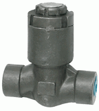 Pressure Seal Check Valve Thead (FCAXTH-PS)