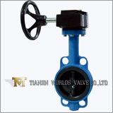 Tianjin Worm Gear Butterfly Valve