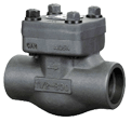 Bolt Type Swing Check Valve (LIFC3007)