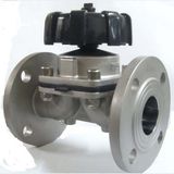 Sanitary Diaphragm Valve