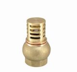 Brass Foot Valve