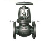 Cast Iron 125S Flange Ends Globe Valve