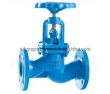 Cast Iron Flange Ends SDNR Globe Valve (RX-GV-YT-JH41H-16 / J41H-16)