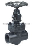 Forged Globe Valve