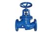 Cast-Iron Globle Valve