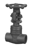 Forged Steel Gate Valve