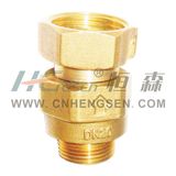 Brass Control Valve