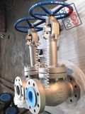 Monel Globe Valve API Standard (J41H)