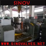 Bs Swing Check Valve