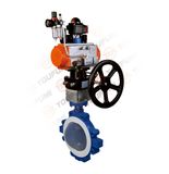 PTFE Lined Butterfly Valve (Lug type) DIN