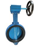 Wafer Butterfly Valve with Worm Gear Manufacturer