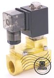 Slp Series 2 Way General Purpose Diaphragm Brass Solenoid Valve