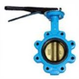 Lug Type Butterfly Valve