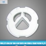 Higy Purity Alumina Ceramic Disc/ Stainless Tap Ceramic Disk (XTL-AD08)