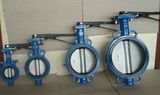 Wafer Type Butterfly Valve (D71X/J)