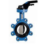 Lug Type Butterfly Valve