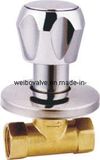 Brass Globe Valve (WB-5017)