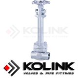 Cryogenic Globe Valve